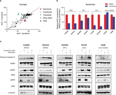 MEK inhibition causes BIM stabilization and increased sensitivity to BCL-2 family member inhibitors in RAS-MAPK-mutated neuroblastoma